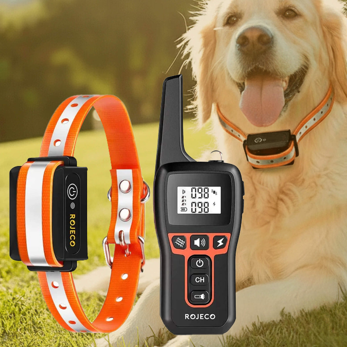Amtn Club | 1000m Waterproof Dog Training Collar – Rechargeable, Remote Control & Adjustable for Small, Medium, and Large Dogs