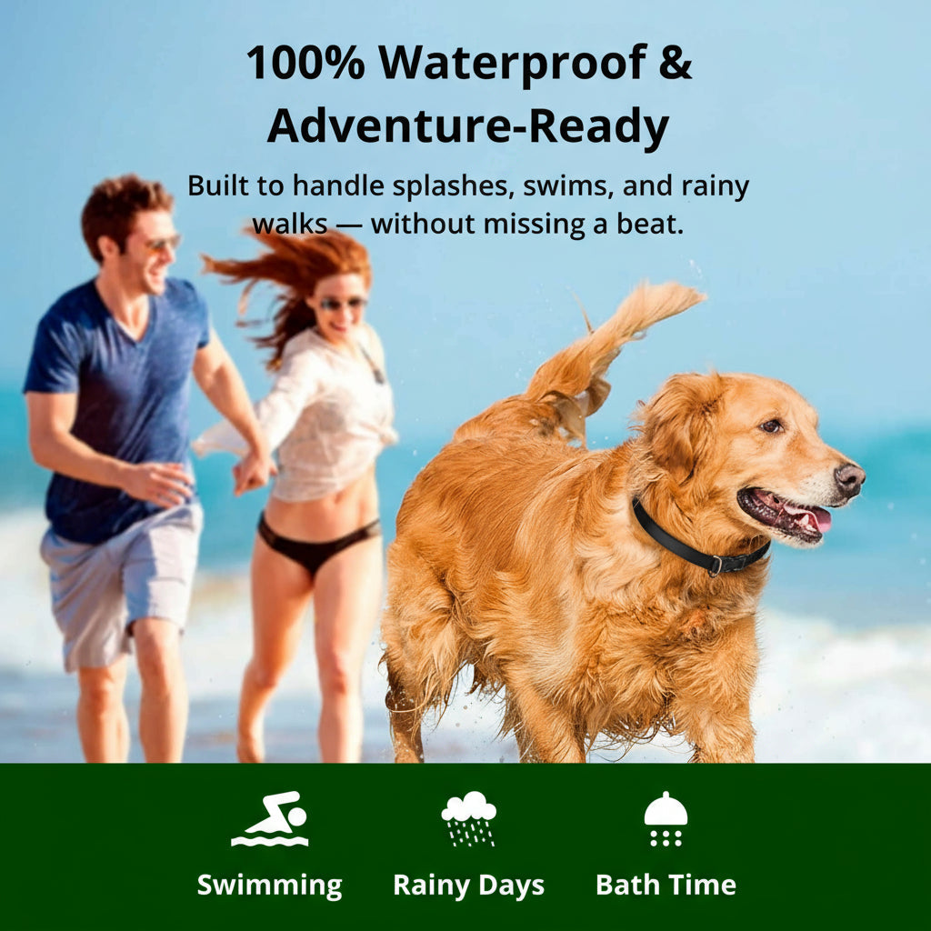 Amtn Club | 1000m Waterproof Dog Training Collar – Rechargeable, Remote Control & Adjustable for Small, Medium, and Large Dogs