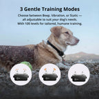 Amtn Club | 1000m Waterproof Dog Training Collar – Rechargeable, Remote Control & Adjustable for Small, Medium, and Large Dogs