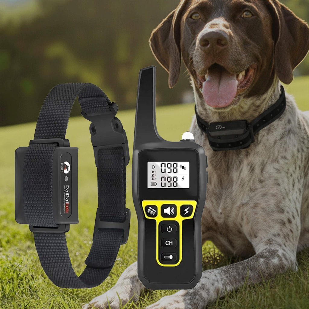 Amtn Club | 1000m Waterproof Dog Training Collar – Rechargeable, Remote Control & Adjustable for Small, Medium, and Large Dogs