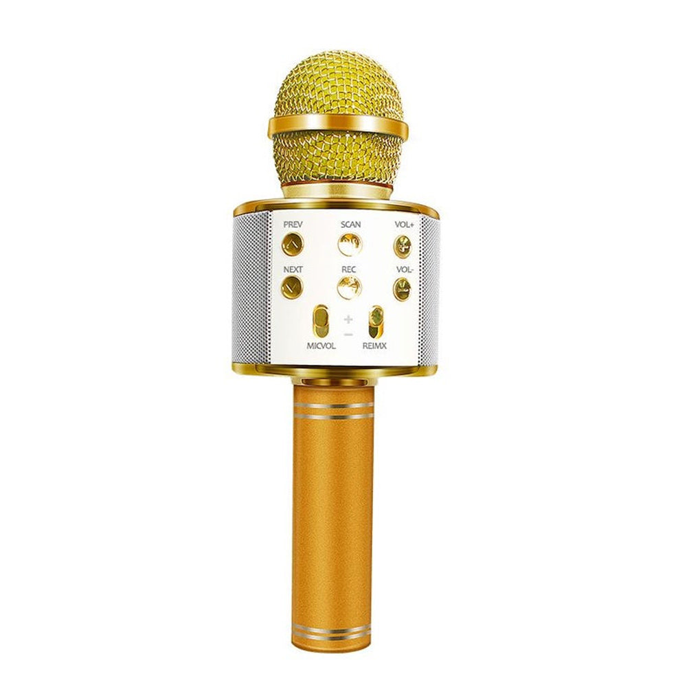 Koadclo | Rechargeable Wireless Bluetooth Karaoke Microphone