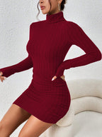 Mock Neck Hip-Covering Ribbed Dress with Long Sleeves and Stretch Fit