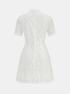 Cheongsam Style Lace Short Sleeve Dress for Elegant Evenings