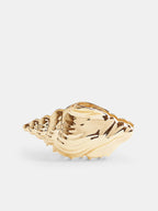 Conch Shell Shaped Metal Hair Claw for Stylish Updos and Hairstyles