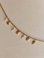 "Seashell Charm Pendant Necklace for Summer Beach Fashion"