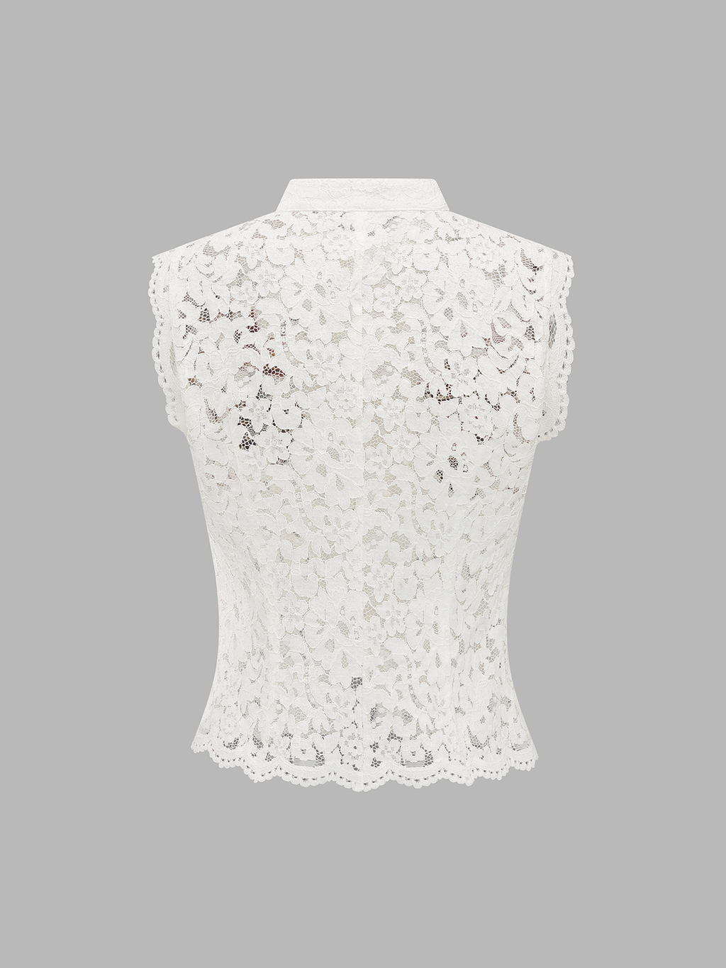 Embroidered Birdsong Lace Top Elegant Floral Design Detail
