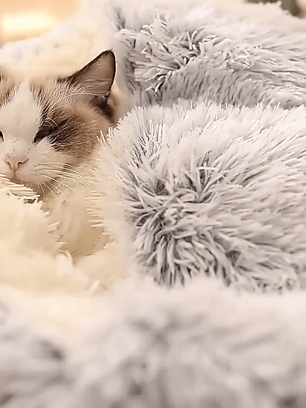koadclo | Cozy Cave Pet Bed – Calming & Comfortable Dog Bed for Deep Relaxation
