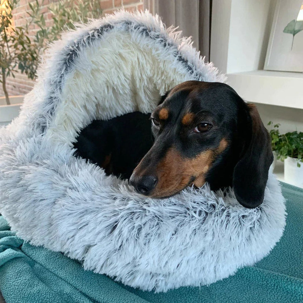 koadclo | Cozy Cave Pet Bed – Calming & Comfortable Dog Bed for Deep Relaxation