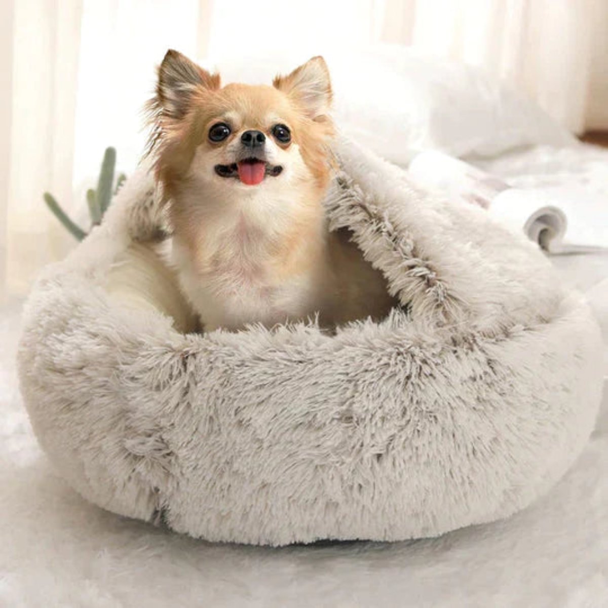 koadclo | Cozy Cave Pet Bed – Calming & Comfortable Dog Bed for Deep Relaxation