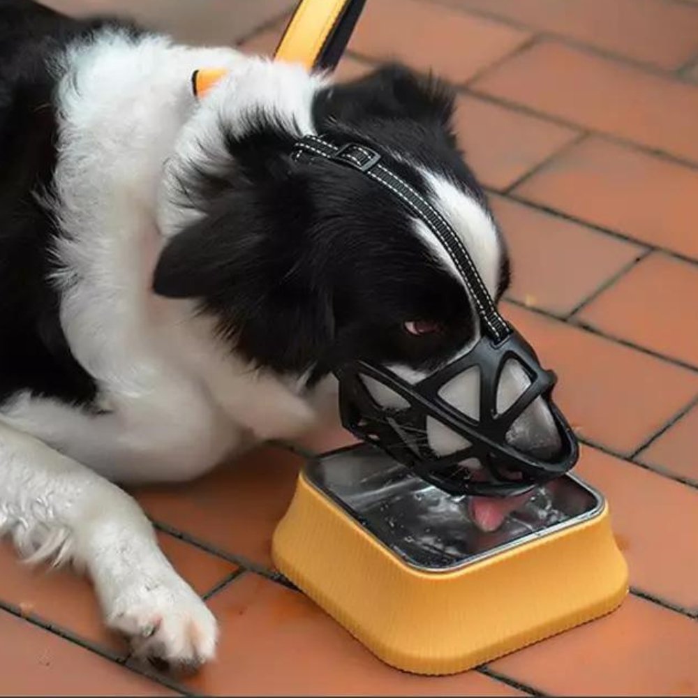 Koadclo | SafeBark Dog Muzzle