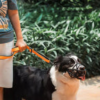Koadclo | SafeBark Dog Muzzle
