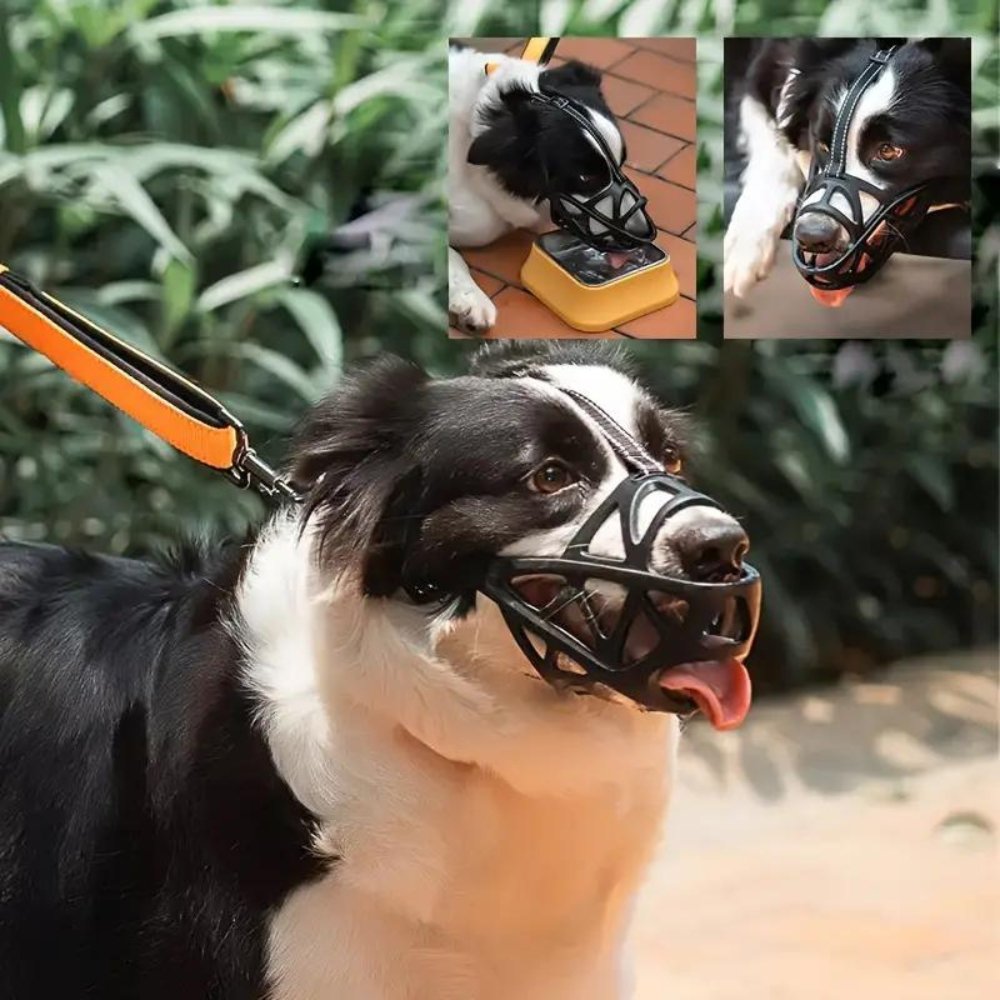 Koadclo | SafeBark Dog Muzzle