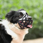 Koadclo | SafeBark Dog Muzzle