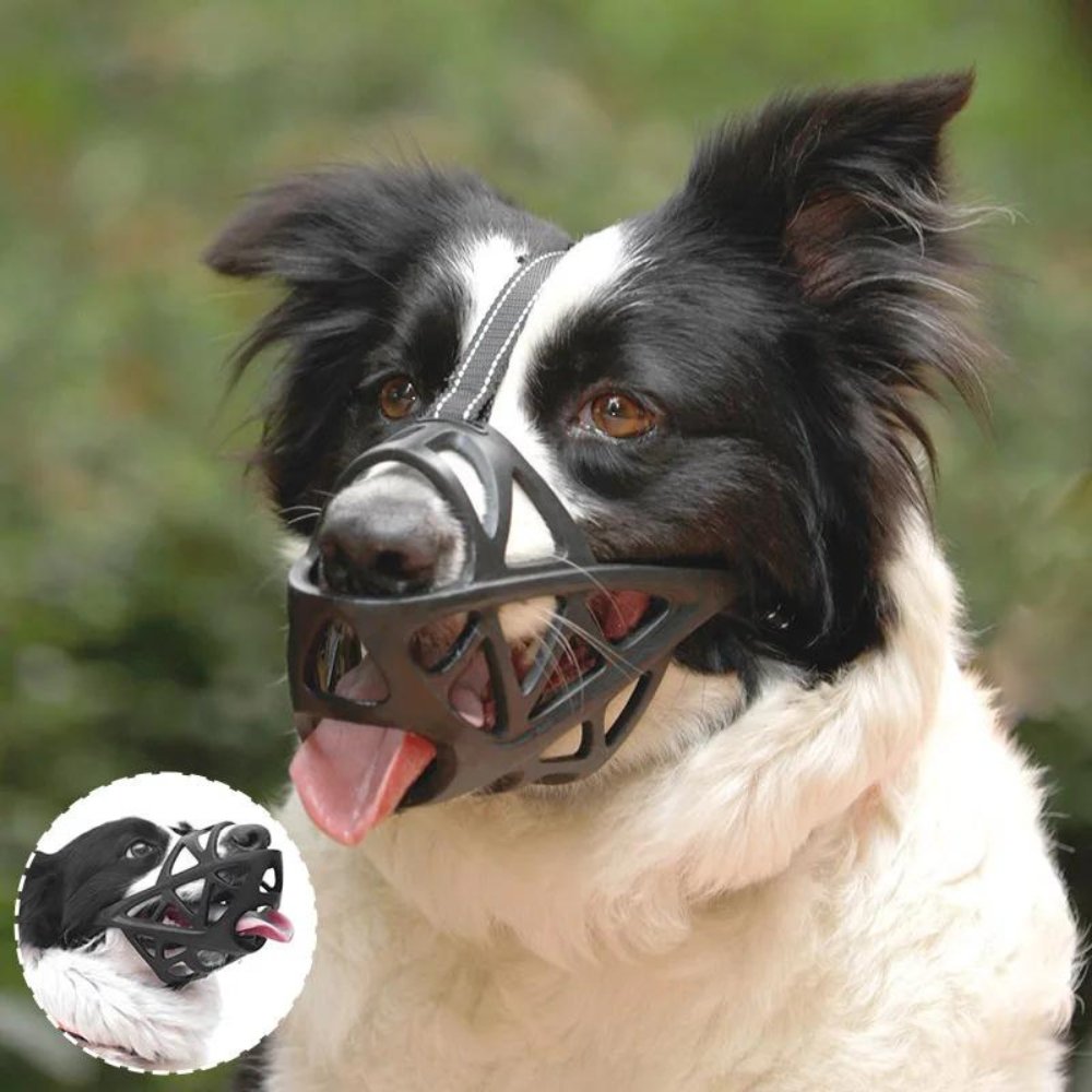 Koadclo | SafeBark Dog Muzzle